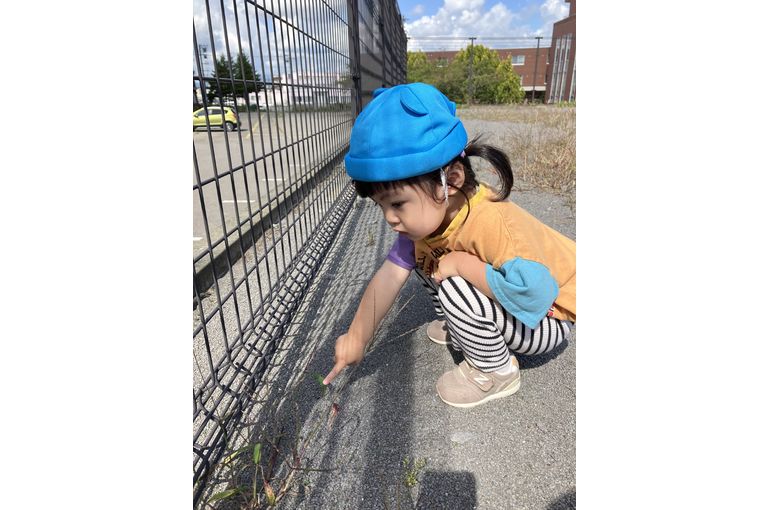 秋,認定こども園,札幌市,保育園,認可保育園,企業主導型保育園,函館市,江別市