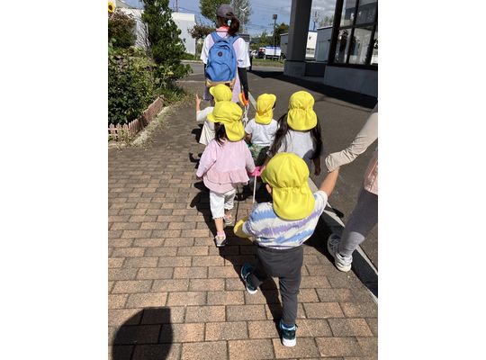 お散歩,認定こども園,札幌市,保育園,認可保育園,企業主導型保育園,函館市,江別市