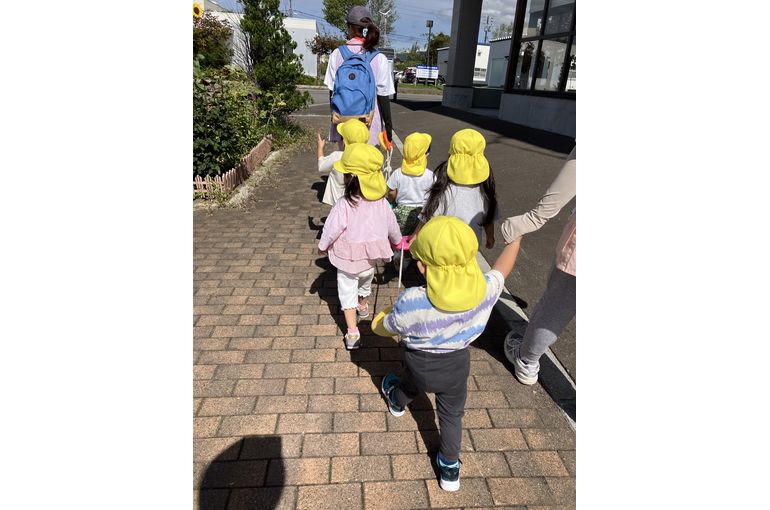 お散歩,認定こども園,札幌市,保育園,認可保育園,企業主導型保育園,函館市,江別市