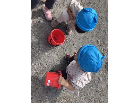 秋,認定こども園,札幌市,保育園,認可保育園,企業主導型保育園,函館市,江別市