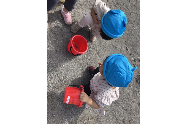 秋,認定こども園,札幌市,保育園,認可保育園,企業主導型保育園,函館市,江別市