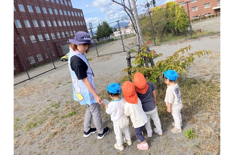 秋,認定こども園,札幌市,保育園,認可保育園,企業主導型保育園,函館市,江別市