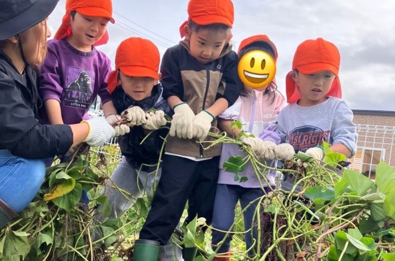 さつまいも,芋ほり,認定こども園,札幌市,保育園,認可保育園,企業主導型保育園,函館市,江別市
