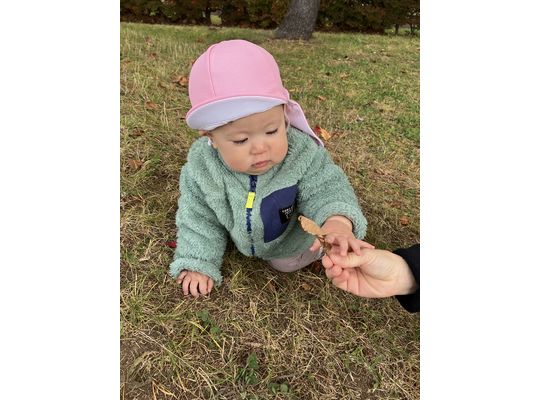 さんぽ,認定こども園,札幌市,保育園,認可保育園,企業主導型保育園,函館市,江別市