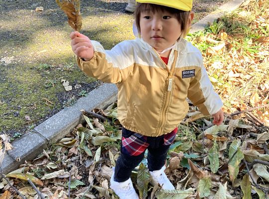 秋,認定こども園,札幌市,保育園,認可保育園,企業主導型保育園,函館市,江別市