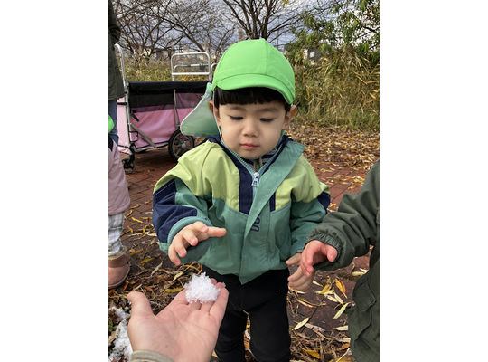 初雪,冬,認定こども園,札幌市,保育園,認可保育園,企業主導型保育園,函館市,江別市