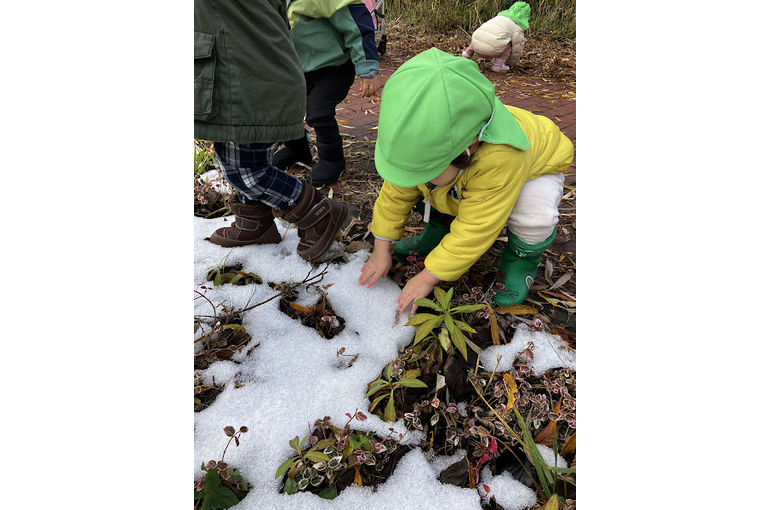 冬,初雪,認定こども園,札幌市,保育園,認可保育園,企業主導型保育園,函館市,江別市
