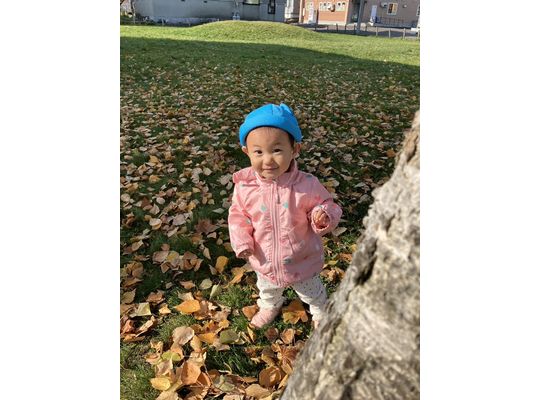 散歩,秋,認定こども園,札幌市,保育園,認可保育園,企業主導型保育園,函館市,江別市