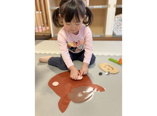 企業主導型保育園,保育所,函館市,石川