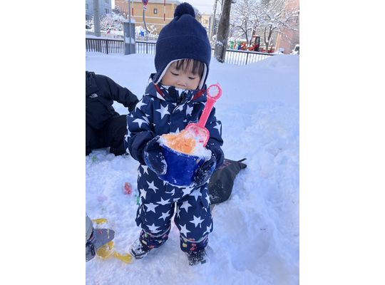 認定こども園,保育園,認可保育園,企業主導型保育園,保育所,函館市,江別市,札幌市