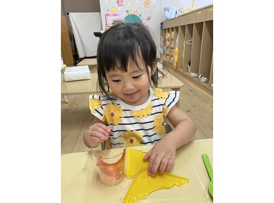 認定こども園, 保育園, 認可保育園, 企業主導型保育園, 保育所, 函館市, 江別市, 札幌市, 室内遊び