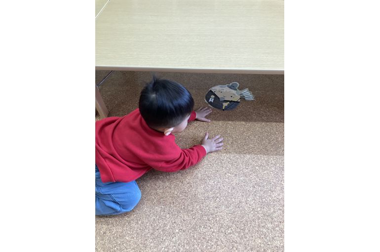 ひな祭り,かわいい,札幌市,保育園,認可保育園,企業主導型保育園,函館市,江別市