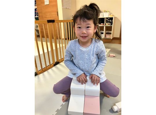 ブロック,認定こども園,札幌市,保育園,認可保育園,企業主導型保育園,函館市,江別市