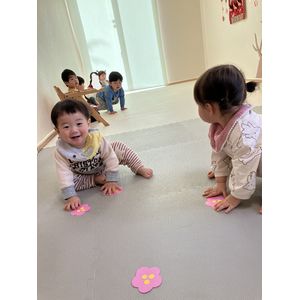 ひな祭り,認定こども園,札幌市,保育園,認可保育園,企業主導型保育園,函館市,江別市