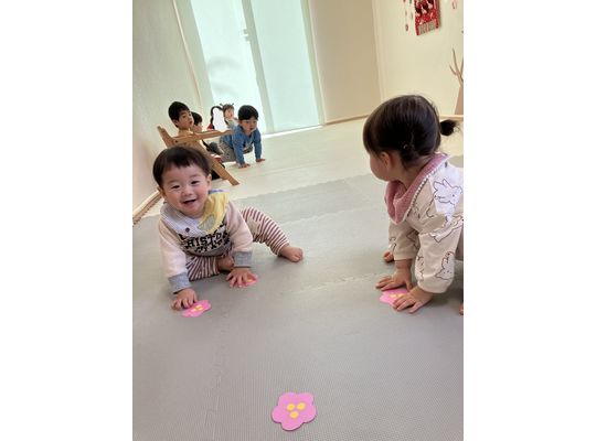 ひな祭り,認定こども園,札幌市,保育園,認可保育園,企業主導型保育園,函館市,江別市