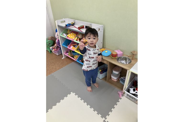 札幌市,保育園,認可保育園,企業主導型保育園,函館市,江別市