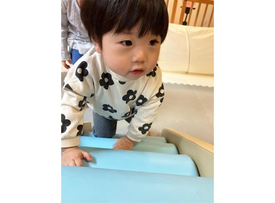 認定こども園,保育園,認可保育園,企業主導型保育園,保育所,函館市,大型,積み木