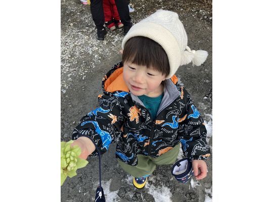 認定こども園、保育園、認可保育園、企業主導型保育園、保育所、函館市、江別市、札幌市、散歩、春