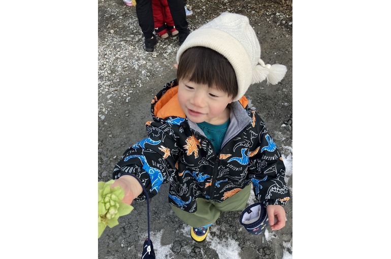 認定こども園、保育園、認可保育園、企業主導型保育園、保育所、函館市、江別市、札幌市、散歩、春