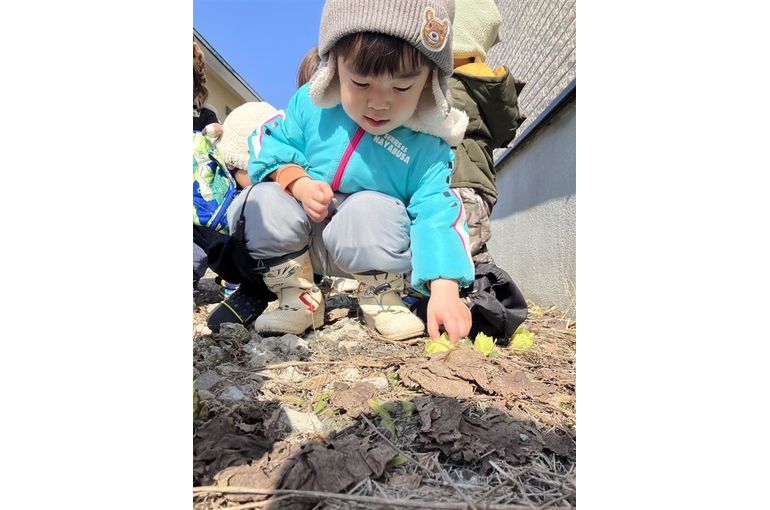 認定こども園、保育園、認可保育園、企業主導型保育園、保育所、函館市、江別市、札幌市、散歩、春