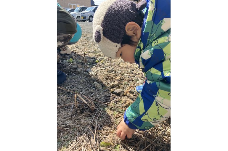 認定こども園、保育園、認可保育園、企業主導型保育園、保育所、函館市、江別市、札幌市、散歩、春