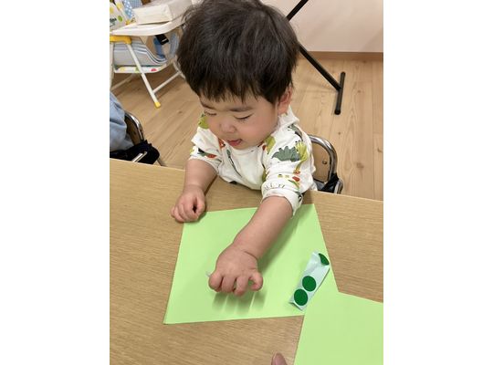 認定こども園,保育園,認可保育園,企業主導型保育園,保育所,函館市,江別市,札幌市,シール貼り