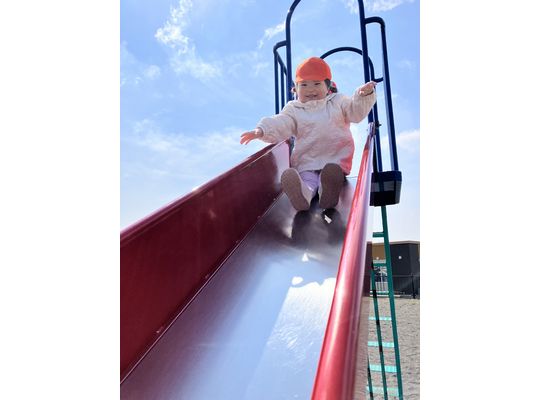 認定こども園,保育園,認可保育園,企業主導型保育園,保育所,函館市,江別市,札幌市,入園,新年度,お散歩,おさんぽ,戸外遊び,春