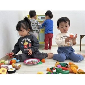 認定こども園,保育園,認可保育園,企業主導型保育園,保育所,函館市,江別市,札幌市,ままごとあそび,おままごと