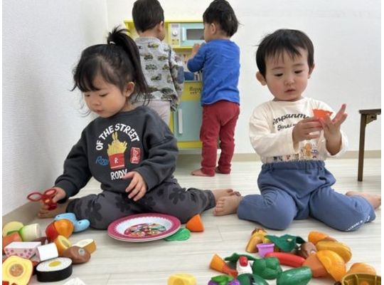 認定こども園,保育園,認可保育園,企業主導型保育園,保育所,函館市,江別市,札幌市,ままごとあそび,おままごと