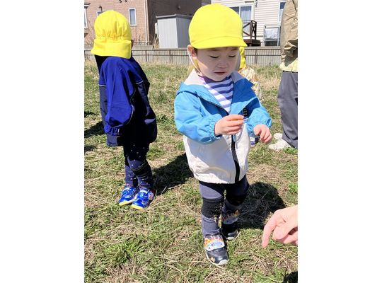 認定こども園,保育園,認可保育園,企業主導型保育園,保育所,函館市,江別市,札幌市,おさんぽ,散歩,春探し