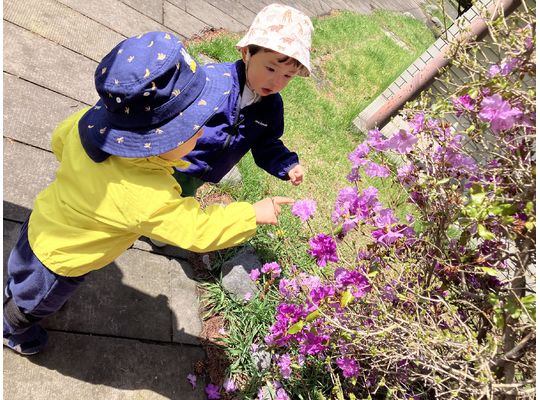 認定こども園,保育園,認可保育園,企業主導型保育園,保育所,函館市,江別市,札幌市,春,お散歩,鯉のぼり