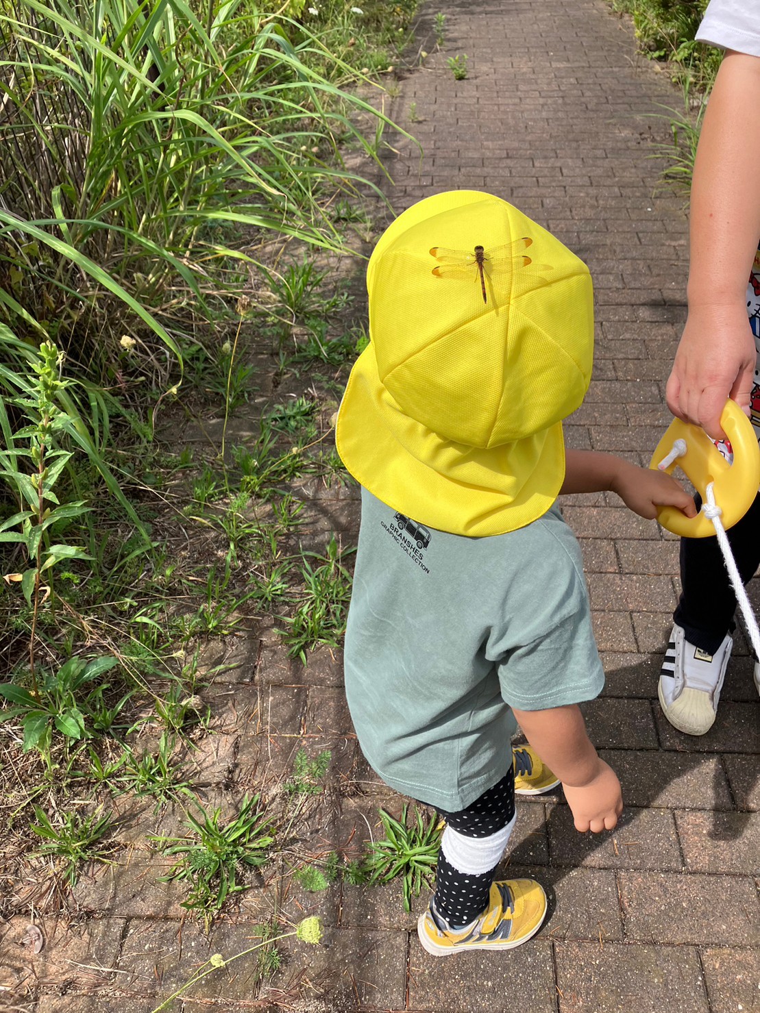 MicrosoftTeams-image (25).png